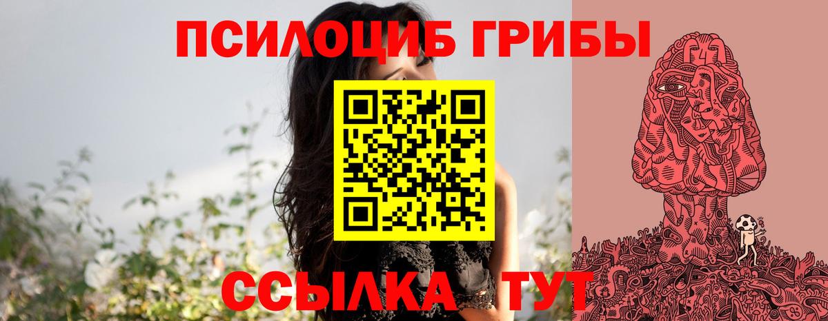 Псилоцибиновые грибы GOLDEN TEACHER Северск