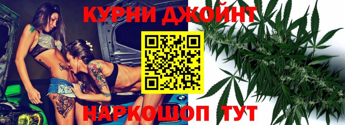 Конопля план Северск